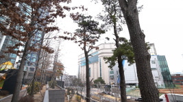초역세권 전세가 6억대…서울서 가성비 입소문난 동네 [김정은의 임장생활기록부]