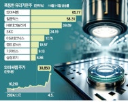 불붙은 유리기판株…AI 차세대 주자 VS 단기 테마
