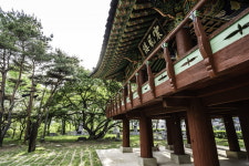 무주 여행의 모든 것 한 장 여행 전북 무주 편