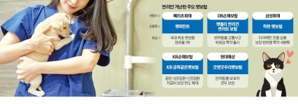 수백만원 반려동물 수술비도…보험료 1만원이면 부담 없어요