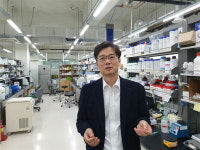 고바이오랩, 여성 건강용 균주 미국 특허 등록 결정