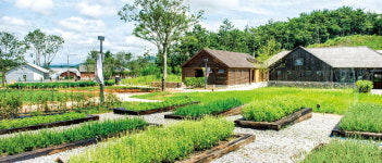 촌스러워, 더 좋다…시골의 낭만 하룻밤