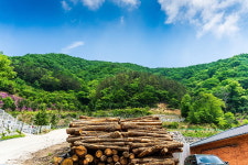 건강함을 싣고, 웰니스 완주 여행 출발