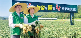 쌀값 보장없이 소득 3배…경북 농업 혁신