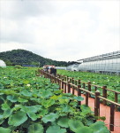 경기 양주 천생연분마을, 노고산 계곡 물놀이, 친환경 먹거리…가족 힐링 최적