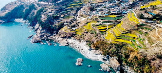 살아 숨쉬는 자연속으로…한적한 농촌에서 힐링하세요