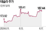 中서 자율주행 청신호…테슬라, 5% 넘게 급등