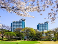 소문나면 안되는데…月 300만원 넘어도 노부부 줄 선다 [집코노미-집 100세 시대]