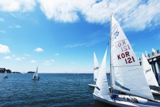 축제로 하나 될 보령