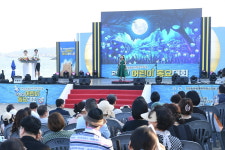 이 여름, 갯마을의 흥겨움에 빠져듦
