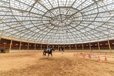 핫 여름에 필요한 모든 푸름, 대부도에 한 가득