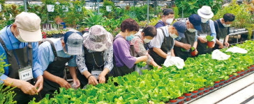 밭작물 기계화·가루쌀 확산…농촌진흥청의 종횡무진 프로젝트8