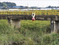 불안에 익숙해진 청춘 작가들…끈질기게 매달린 모습을 담다