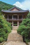 무르익은 계절을 여행하다, 영주