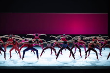 와이즈발레단 창작공연 VITA ..인간과 자연의 관계 표현