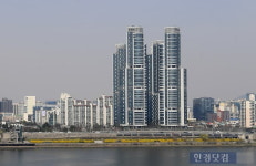 트리마제 사진 5