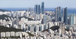 영원한 하락은 없다 13억이던 대구 아파트, 6개월 만에…