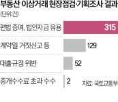 집값 뛴 강남3구·마용성, 수상한 거래 397건