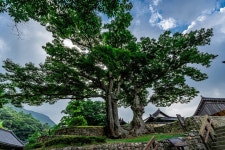 해남 어디까지 가봤니? 금강산에서 두륜산까지