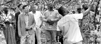 신동빈, 가나 코코아 수급 점검…아프리카 진출도 검토