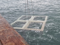 경기도, 수산자원 증대 위해 안산 육도에 인공어초 보충