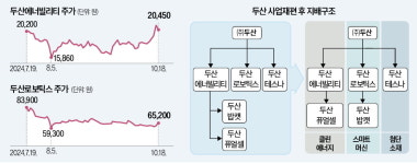 사업하는말개미 | [단독] 사업재편 재시동 건 두산…에너빌리티 '개미 구하기' 묘수 나온다