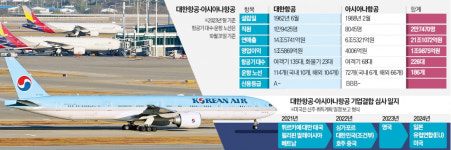 186개 도시 226대 띄우는 메가캐리어 탄생…글로벌 톱티어 도약