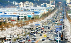 창원대로 일대 초고층 빌딩숲으로 대변신