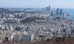 해운대 12억짜리 아파트도 반토막 나더니…무슨 일이?