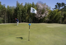 소나무 삼형제 넘겨야 보이는 그린…이예원 같은 이글은 꿈도 꾸지 마라