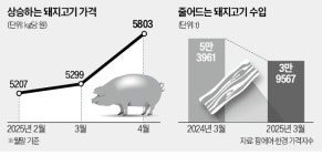 돼지고기 도매가 한달새 10% 껑충