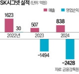 (주)동원홈푸드 에스케이 시그넷 | [단독] 사업재편 속도내는 SK, 시그넷도 판다