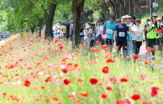 [포토] 마포구 황금보리축제 함께 걸어요~