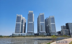 1억 마피에도 산다는 사람이 없다…반달섬의 눈물