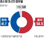 엘지디스플레이(주) P10 FAB | LG디스플레이도 中기술 베끼기에 칼 뺐다