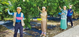충주 상대촌마을, 수도권에서 1시간…복숭아·단호박 따러 가죠