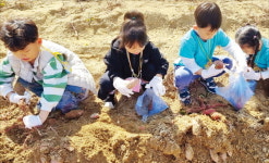 원주 승안동마을, 치유 농업 1호 마을…가족 단위 힐링에 최적