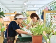 아픈 식물 치료해드려요…서울 식물클리닉 5곳 확대