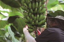 피서인지, 피난인지 모를 휴가는 저 멀리, 해남해요