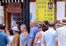 주주글로벌(JUJUGLOBAL) | 세제개편안에 주주서한 낸 글로벌텍스프리, 장중 9%대 급등