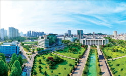 인하대학교, 인하미래인재전형, 면접·서류형으로 분리 모집