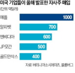美 자사주 매입 '역대급'…올 1조弗 돌파