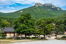 번뇌가 풀어지는 여행길, 해남 대흥사를 향해