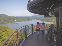 용인 자작나무숲·안성 금광호수…경기도 하늘멍 명소에 멈춰보세요