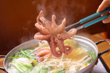 한 접 20만원 낙지도 없어서 못 먹을라…축제 앞두고 초비상