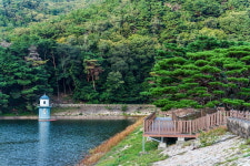 양산 여긴 놓치지마오. 꼭 가보면 좋을 베스트 명소!