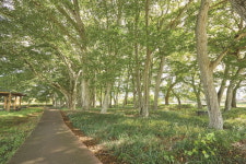 가을 맞이하러 가는 길, 남원으로