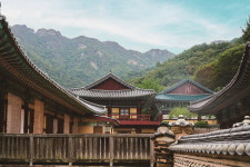 오래 보아야 사랑스러운 풀꽃처럼, 공주 여행 (1)