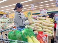 대형마트·슈퍼마켓 김장 대전…배추 999원