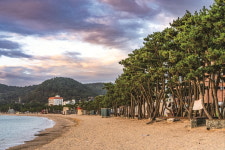 이맘때 울주 가지산의 석남사, 아바타의 섬 명선도